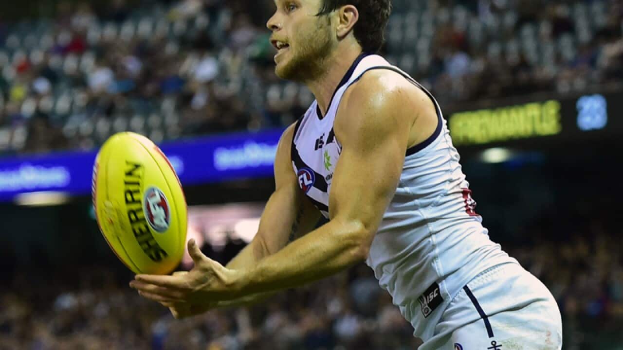 Fremantle Dockers player Hayden Ballantyne