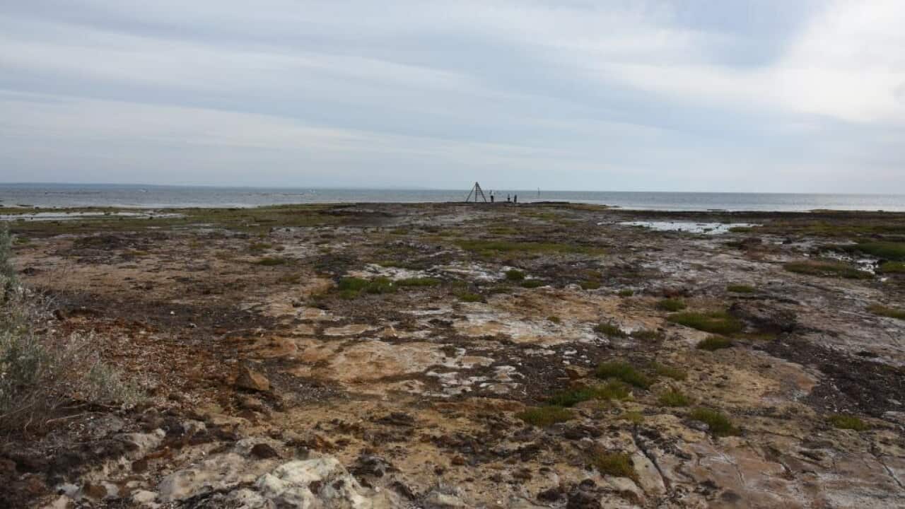 Image for read more article 'READ MORE'