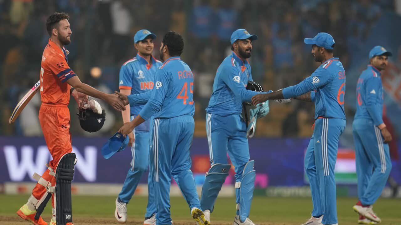 India Cricket WCup