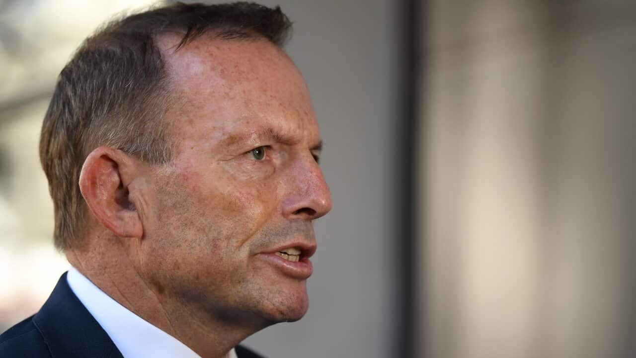 Former prime minister Tony Abbott, pictured in 2020.