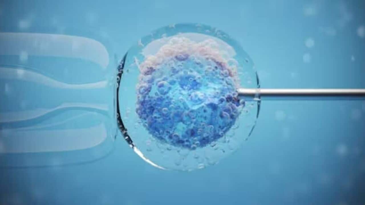 IVF treatment (Source Shutterstock The Conversation KateStudio) .jpg