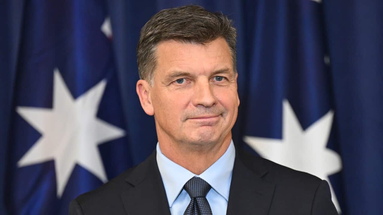 Angus Taylor standing in front of an Australian flag.