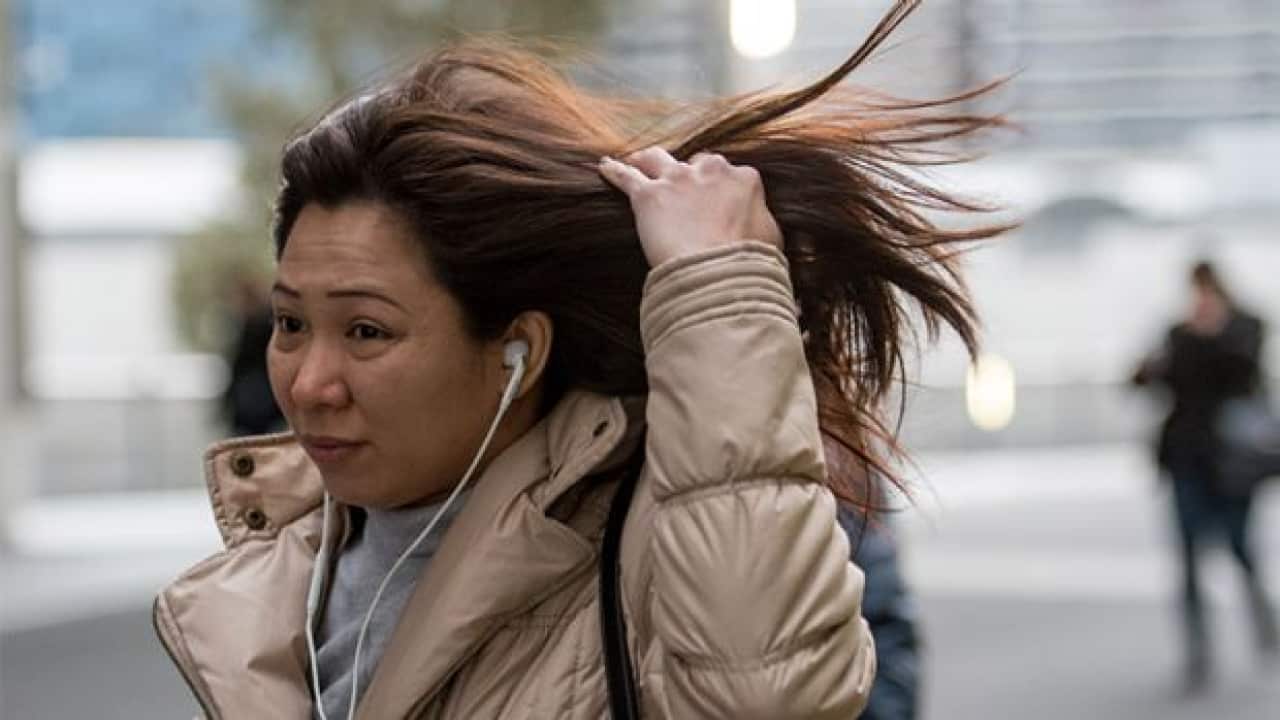 Sydney flights cancelled as wild winds expected