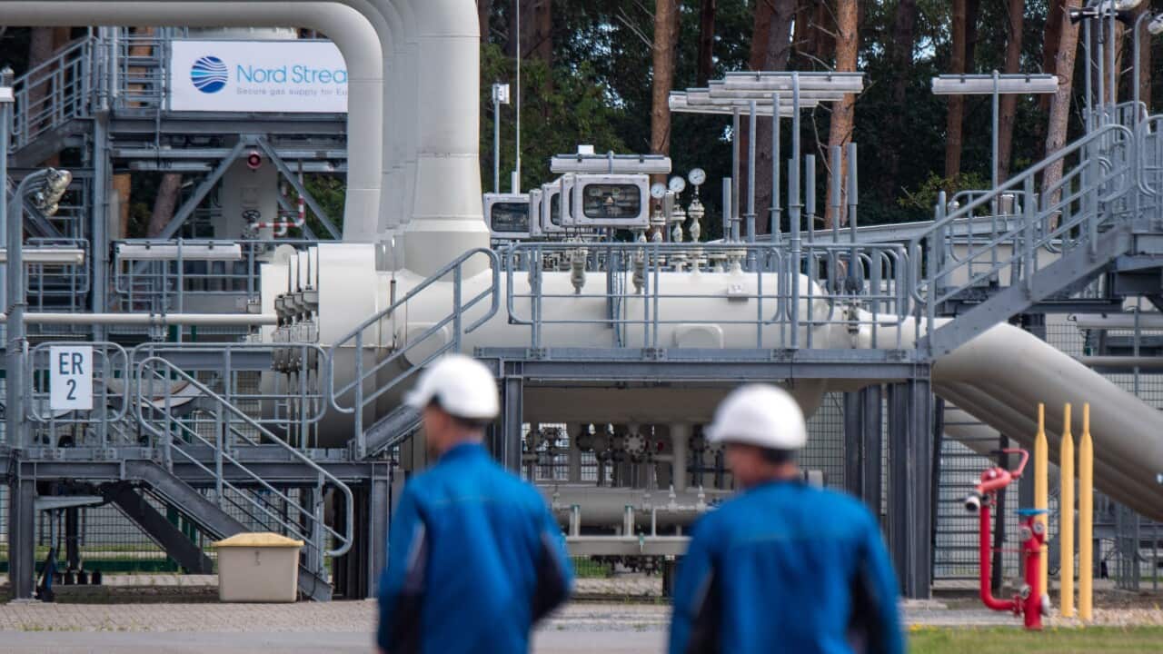 Image for read more article 'READ MORE'