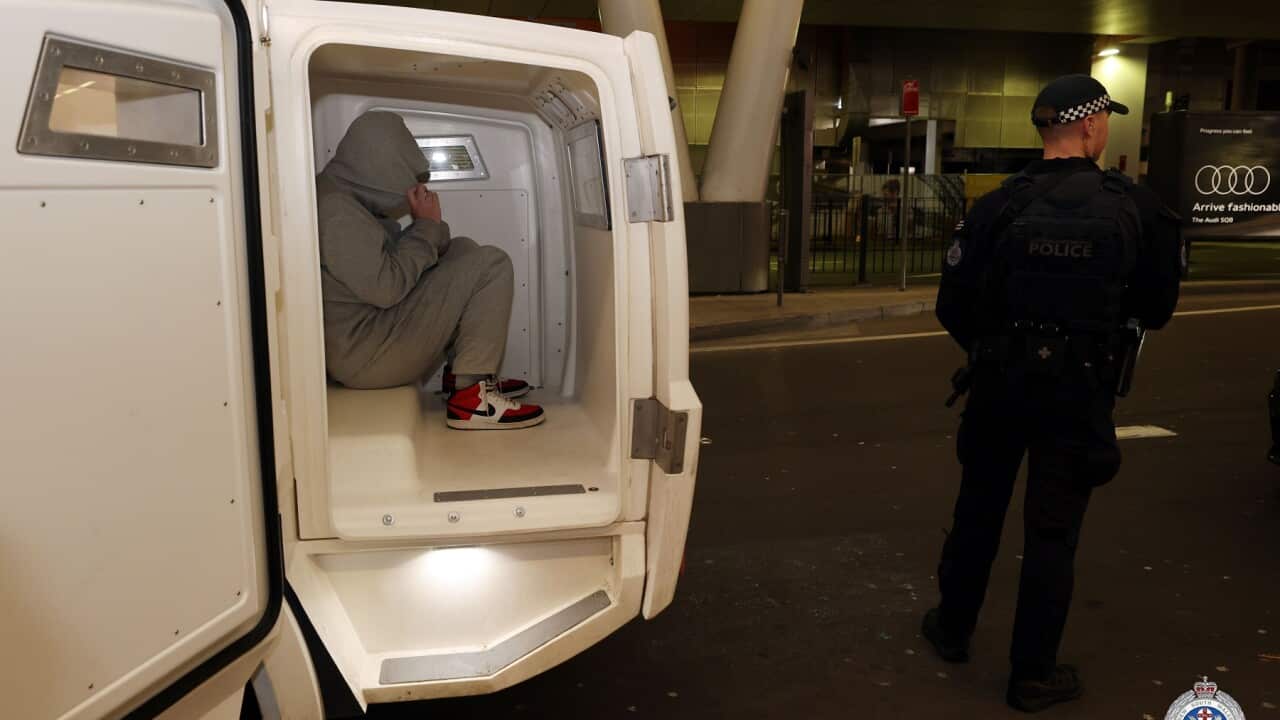 NSW POLICE DOMESTIC VIOLENCE ARRESTS