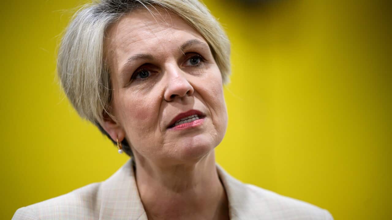 A close-up of Tanya Plibersek's face with a yellow background