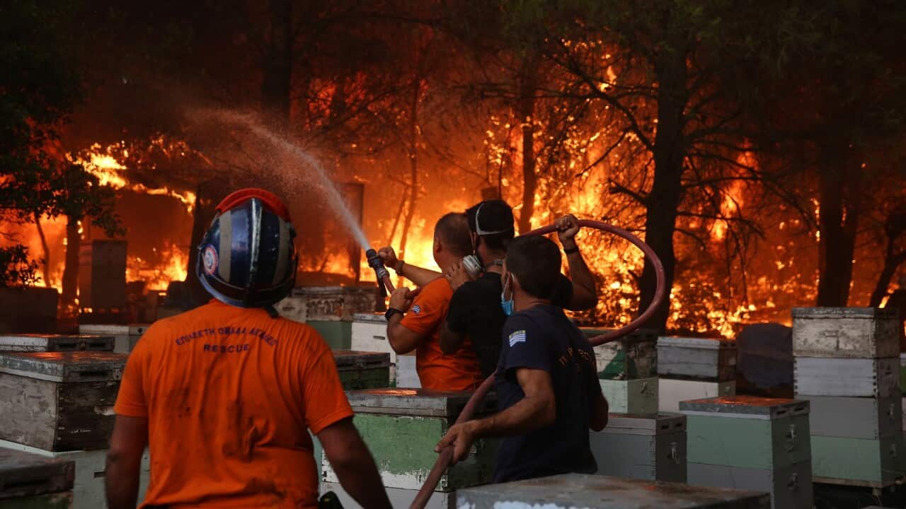 Image for read more article ''