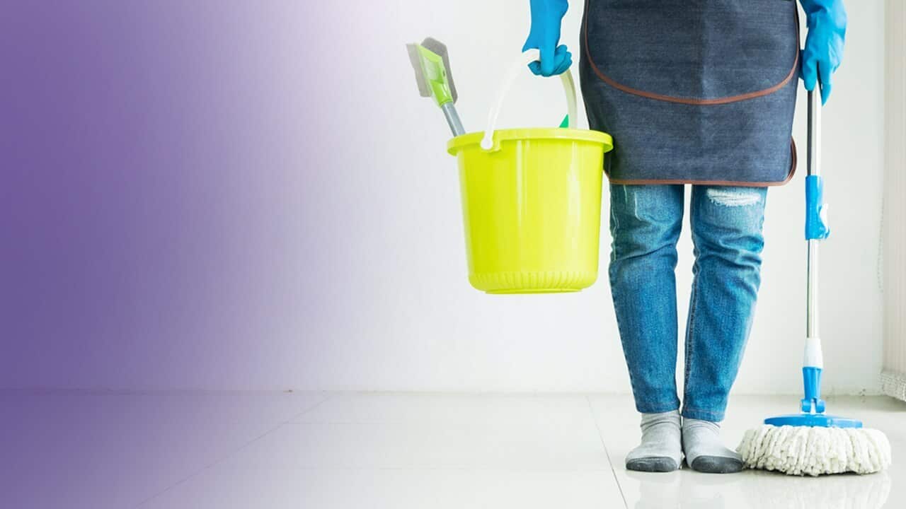 Cleaner