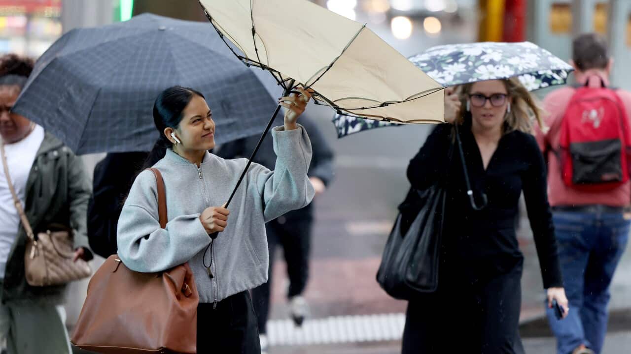 WET WEATHER SYDNEY