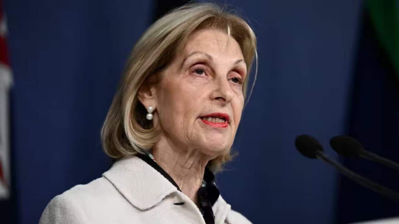 Jillian Segal.jpg