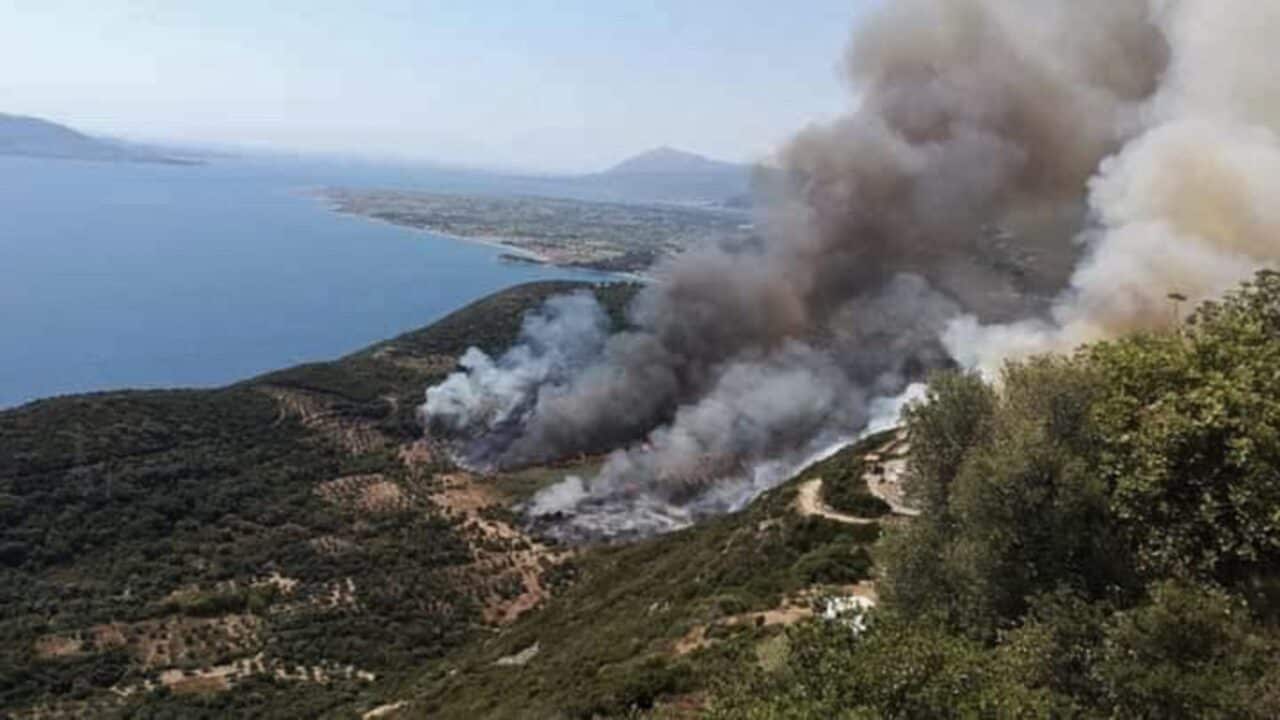 Δεκάδες τα πύρινα μέτωπα το τελευταίο 24ωρο στην Ελλάδα – Φωτιές καίνε Ιτέα, Κρανίδι και Άγιο Όρος. Πολύ υψηλός κίνδυνος για κεδήλωση πυρκαγιών.
