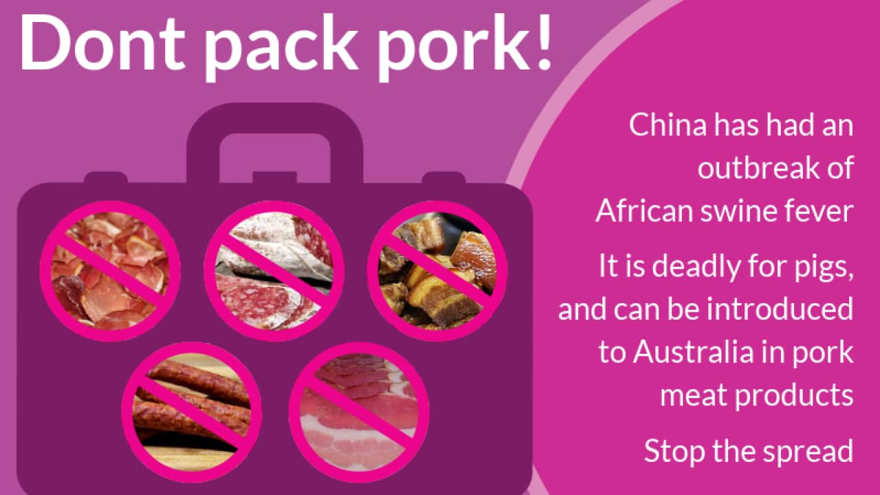 Dont pack pork