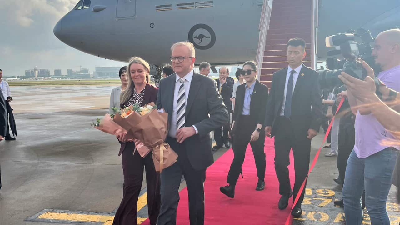 Anthony Albanese, a middle aged man with glasses, wearing a dark suit, stripes grey, black and white tie, holding a bunch of flowers, walking down a red carpet off a large airplane, surrounded by people.