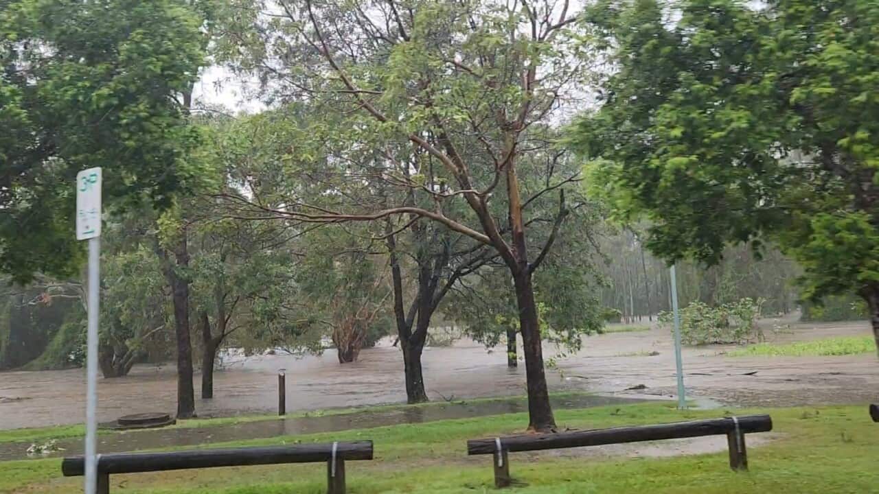 Brisbane Claudia Lüttringhaus.jpg