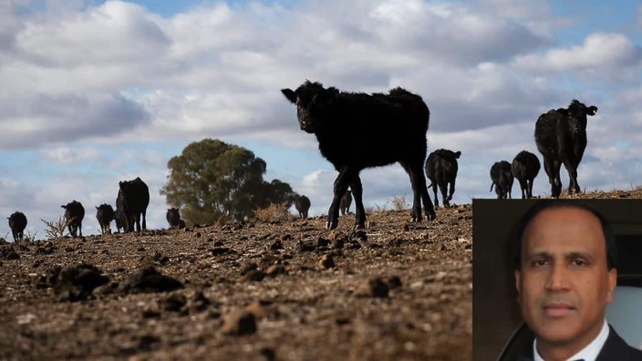 drought