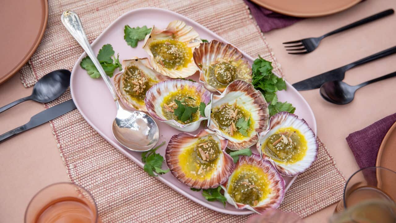 Grilled half shell scallops with green chermoula and buttered almonds on a pink plate