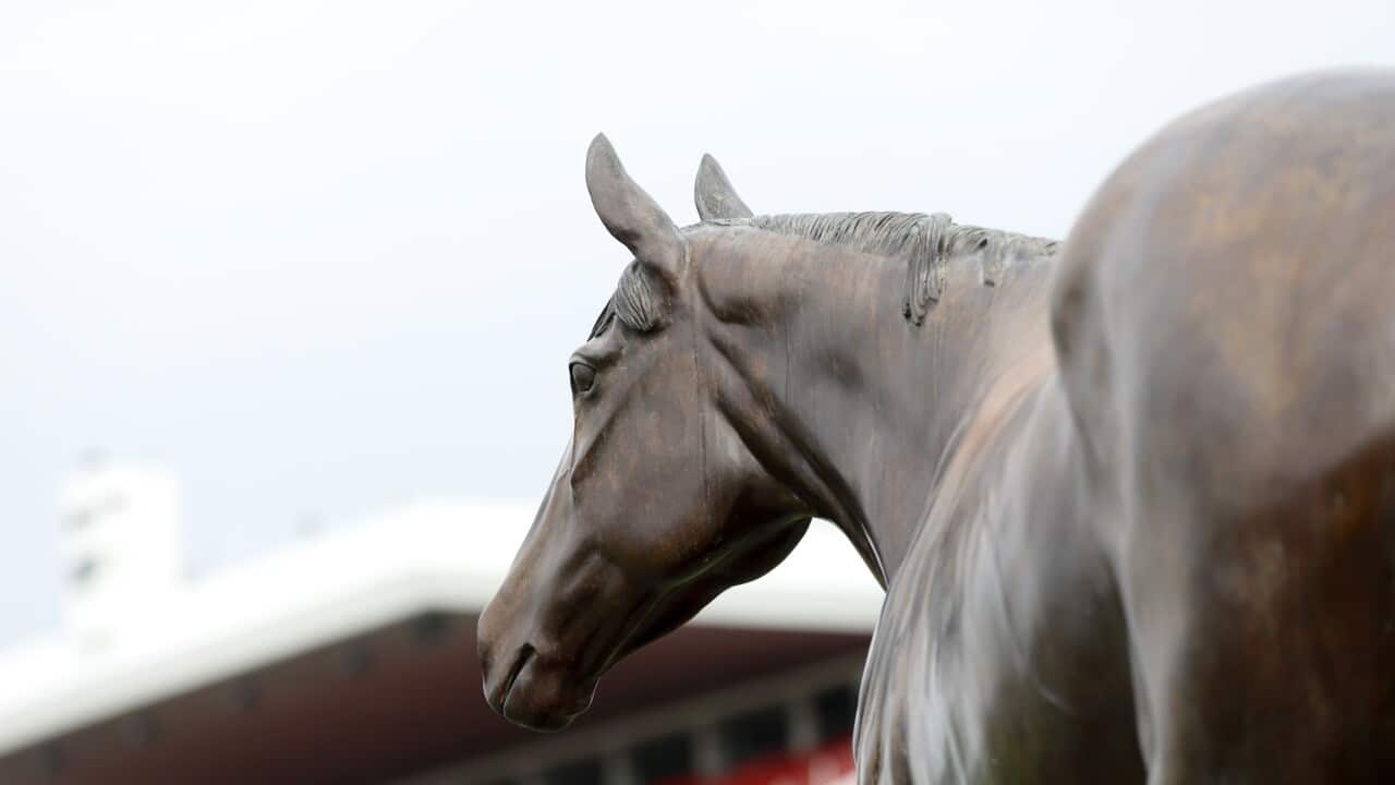 Image for read more article 'READ MORE'