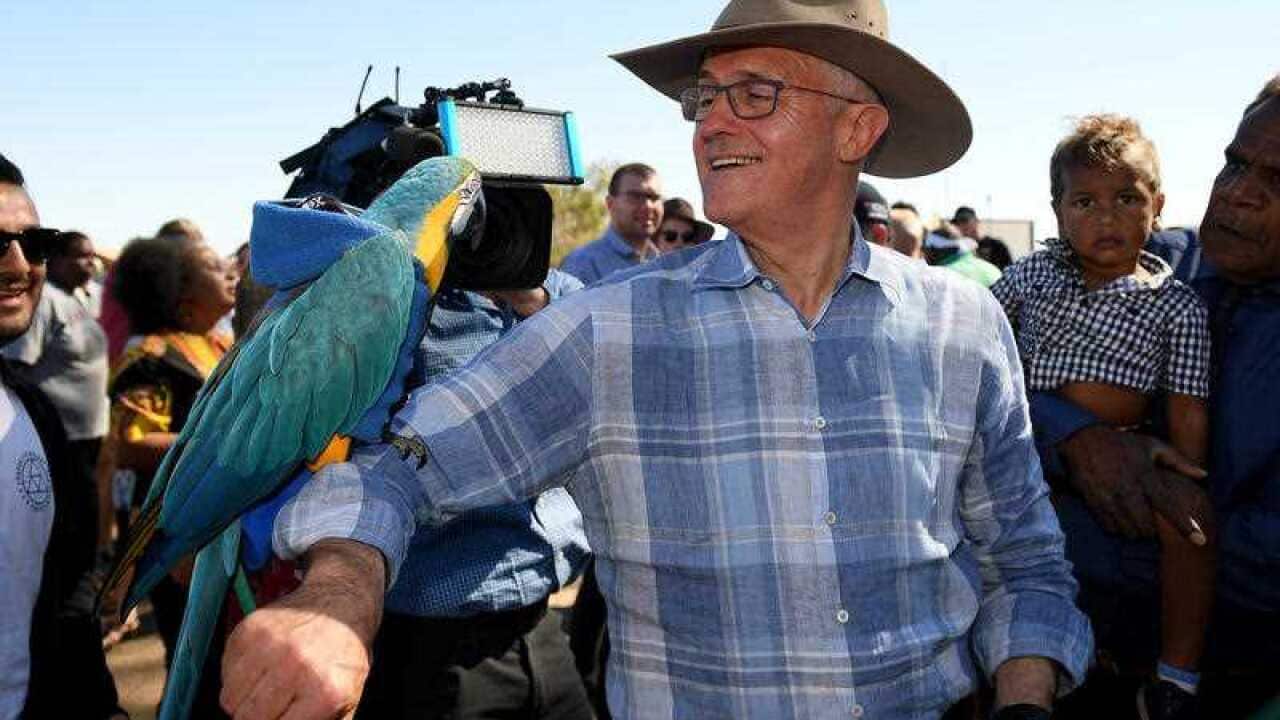 Image for read more article ''