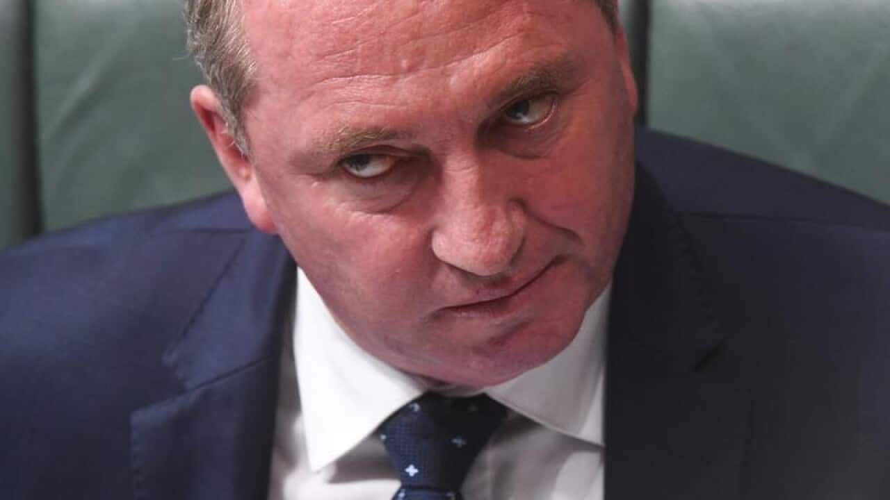 Deputy Prime Minister Barnaby Joyce
