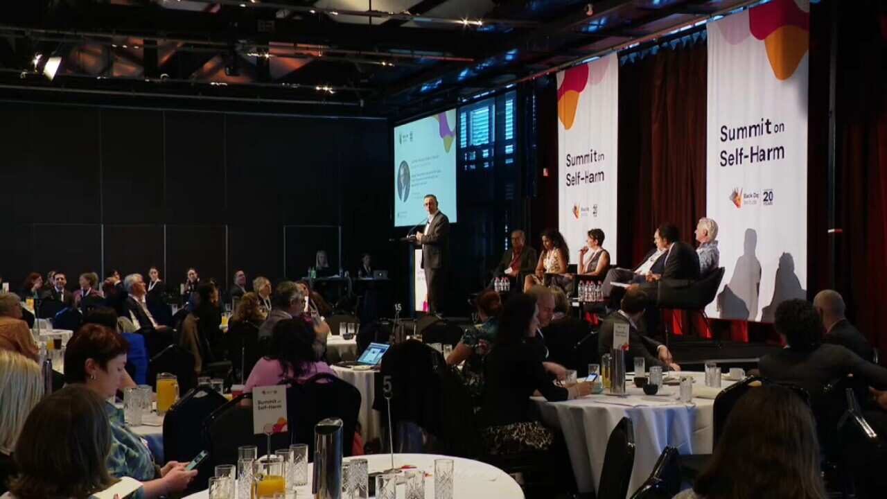 The Self Harm summit underway in Sydney (SBS).