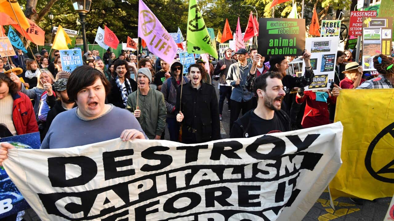 Extinction Rebellion protests in Brisbane
