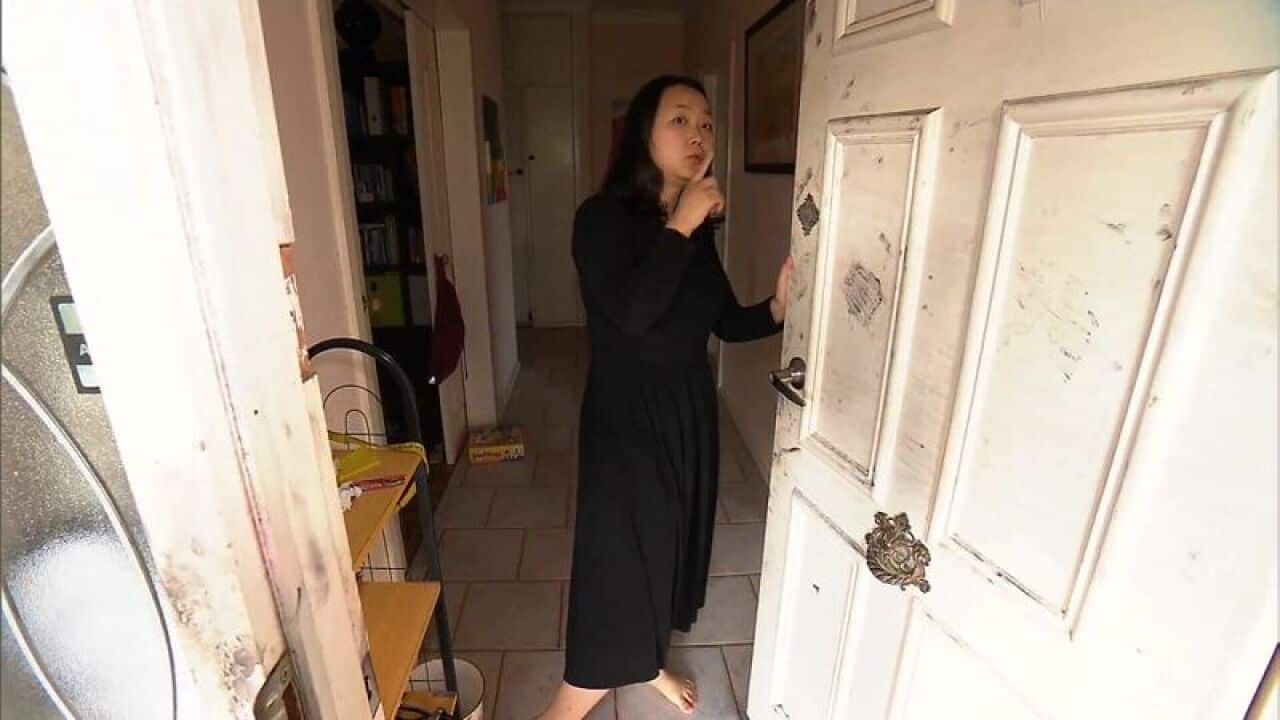 Image for read more article ''