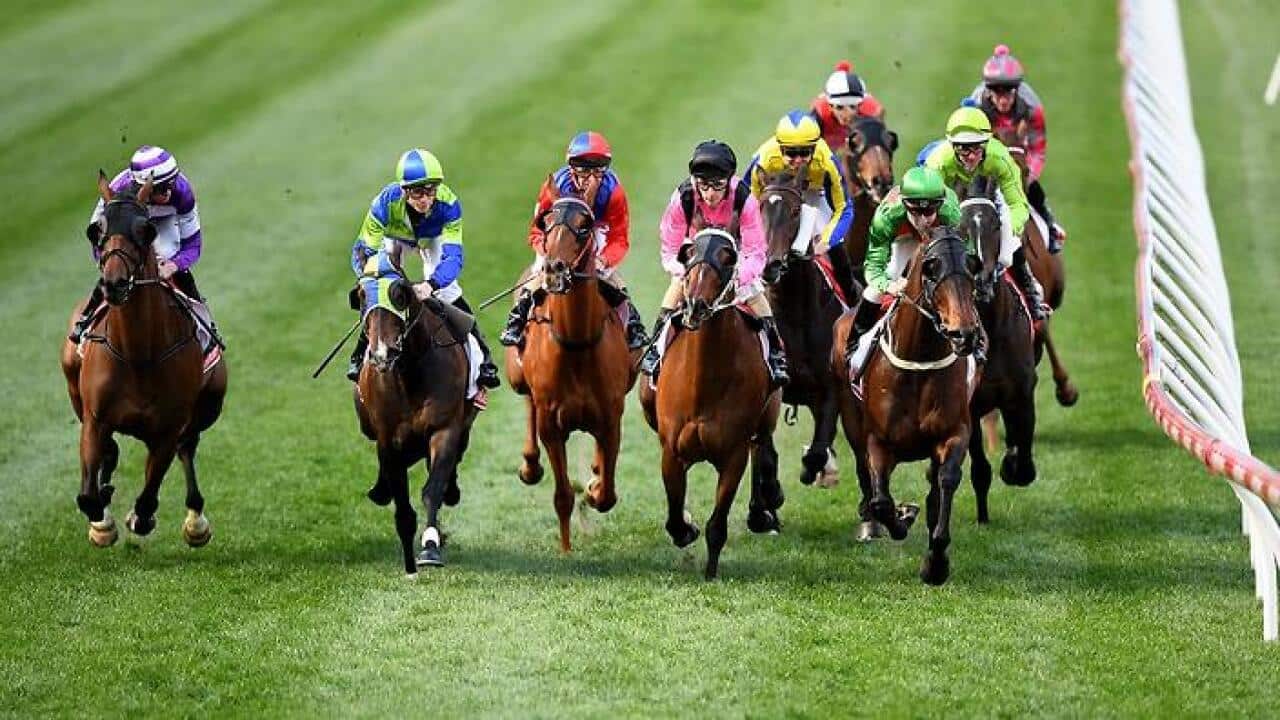 Jockeys position themselves during race 4 the 2400m Nelson Alexander Handicap, during the Ladbrokes Friday Night Lights at Moonee Valley race course in Melbourne, Friday, November 3, 2017. (AAP Image/Joe Castro) NO ARCHIVING