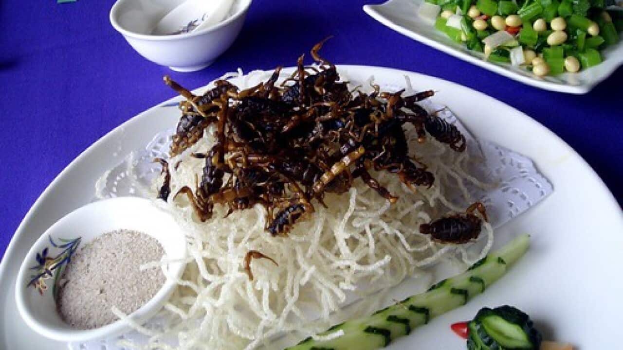 你曾經吃過些甚麼怪異的食物呢?