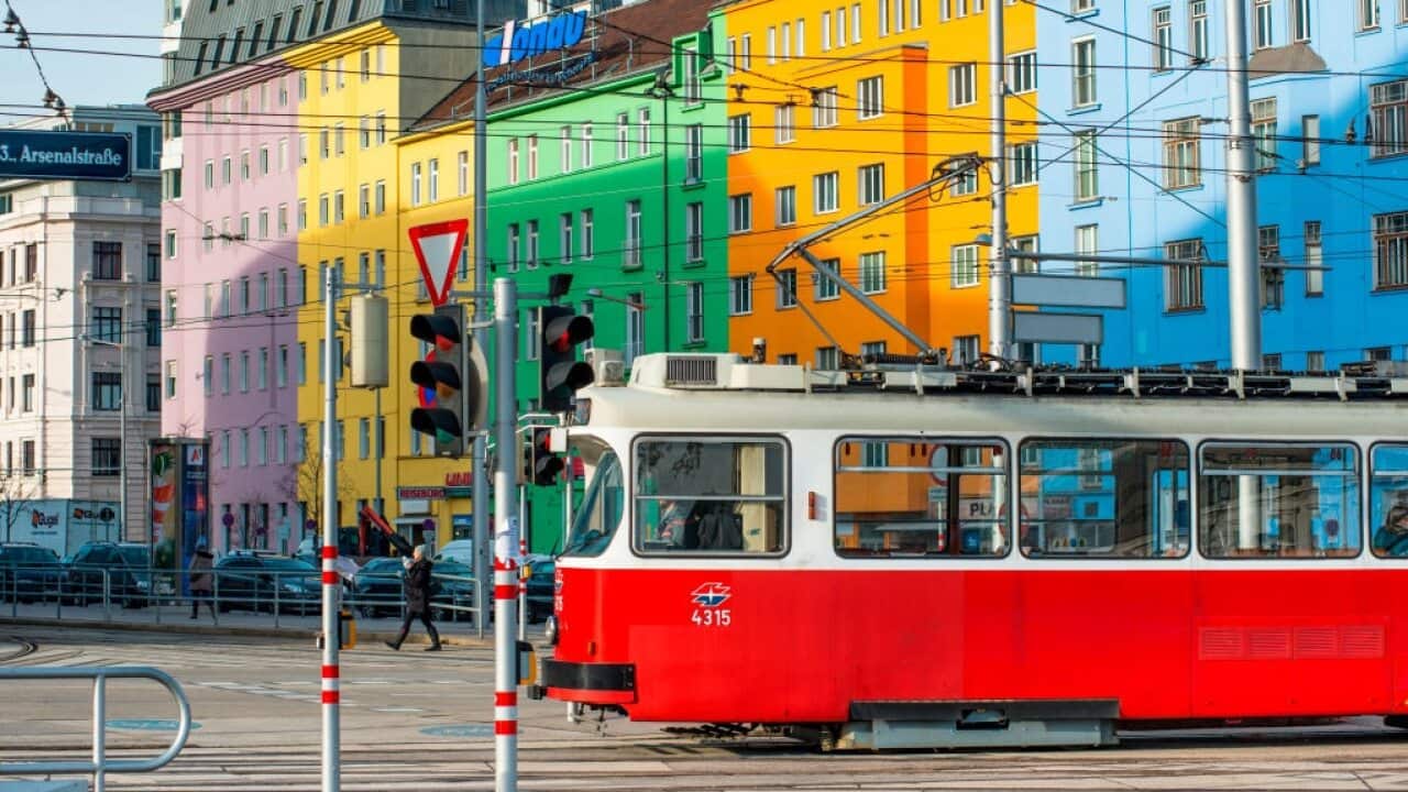 Image for read more article 'READ MORE'