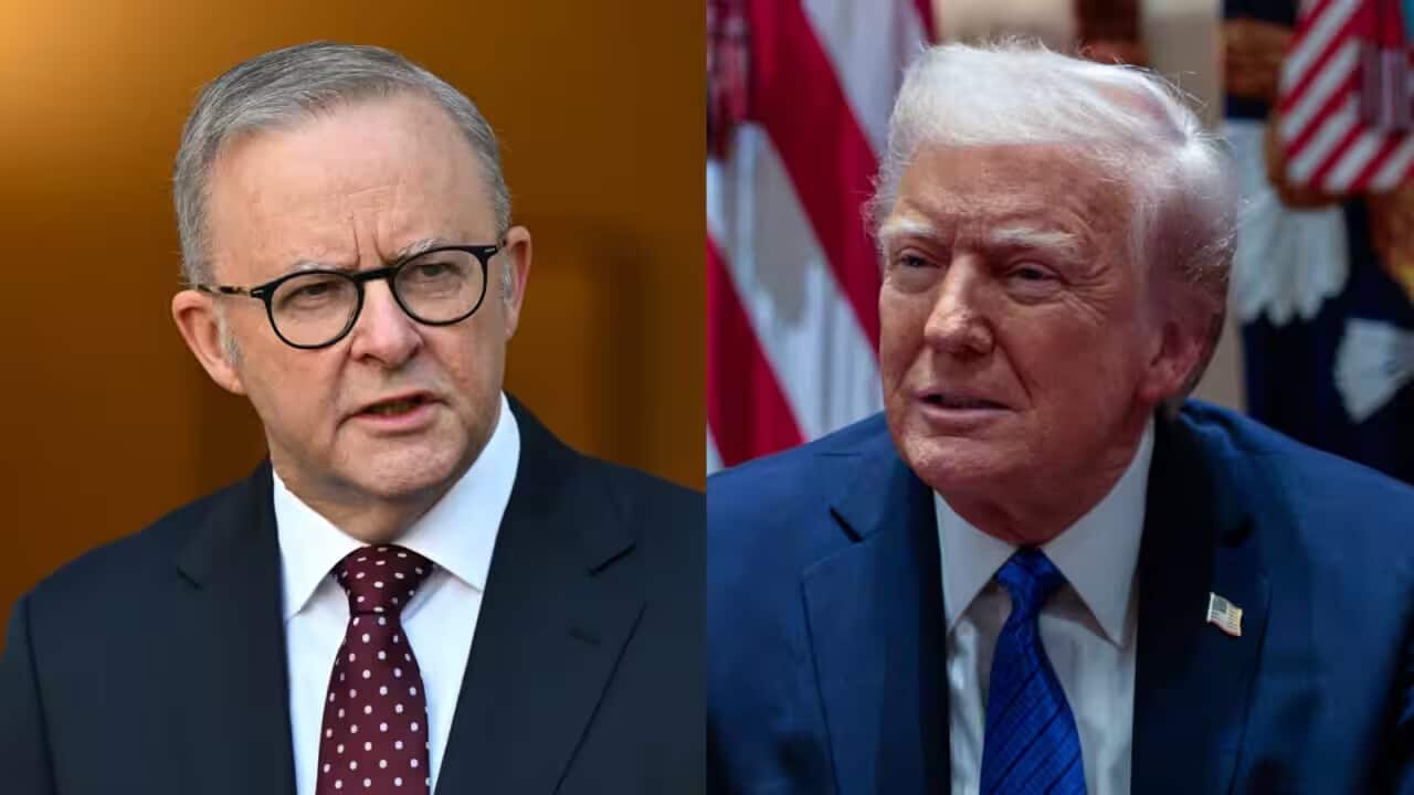 A split image of Anthony Albanese on the left and Donald Trump dressed in suits_.png