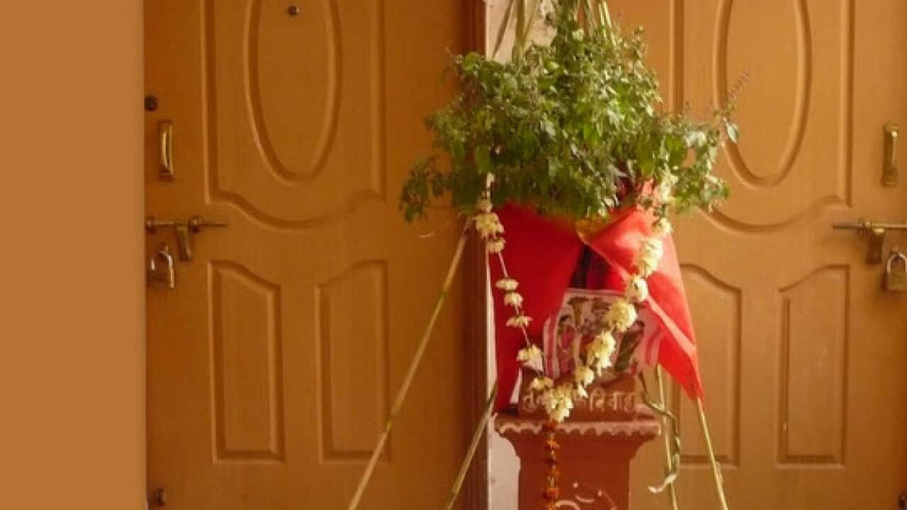 Tulsi Vivah ceremony