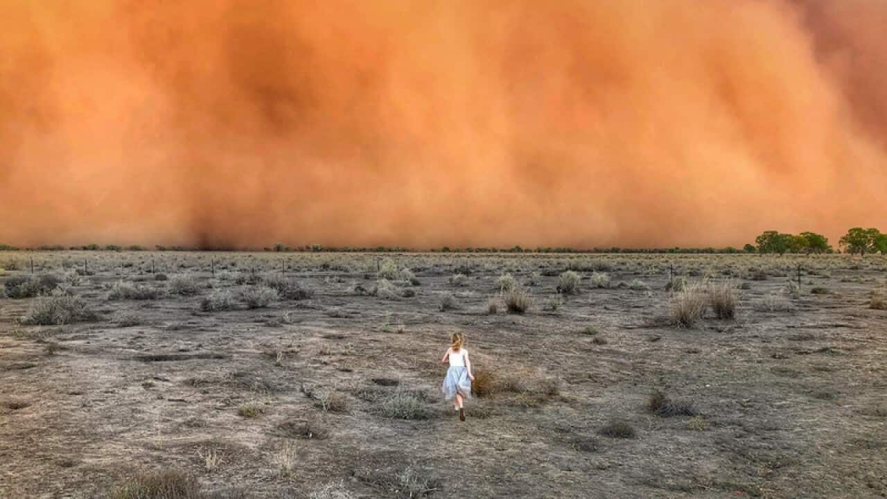 Marcia Macmillan Whimsical Warrior, Head on Photo Festival