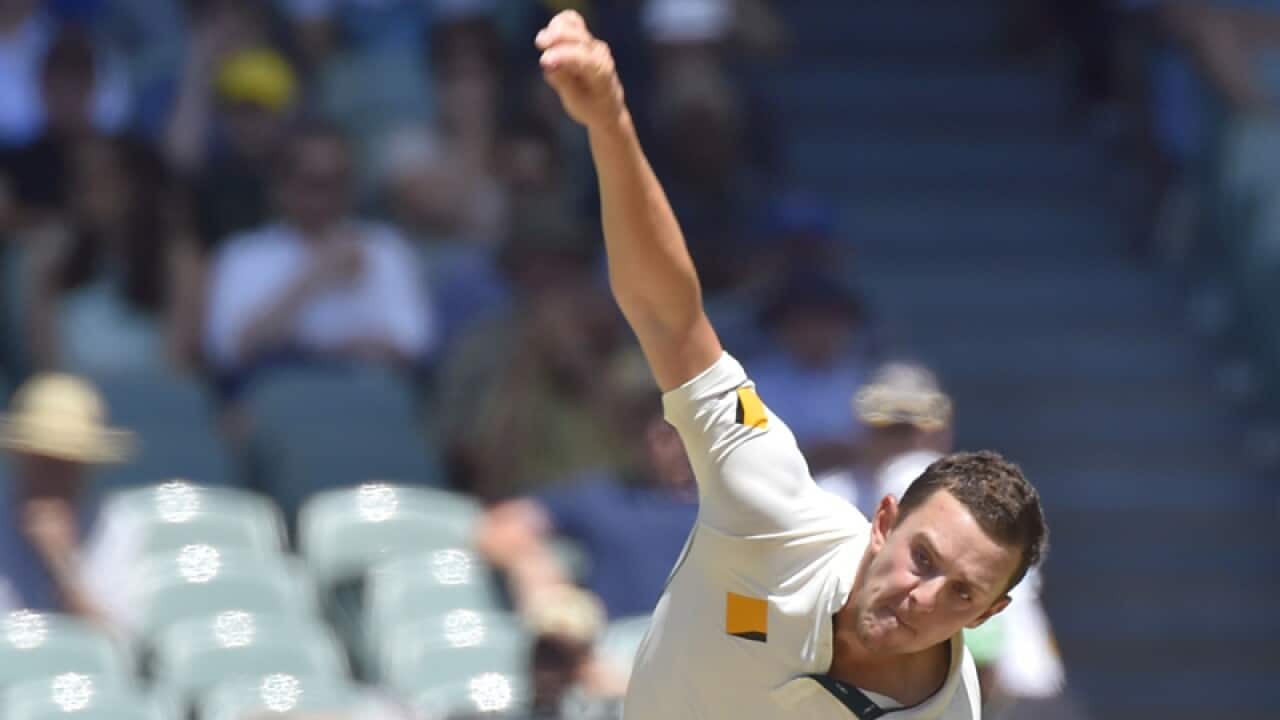 Australian fast bowler Josh Hazlewood