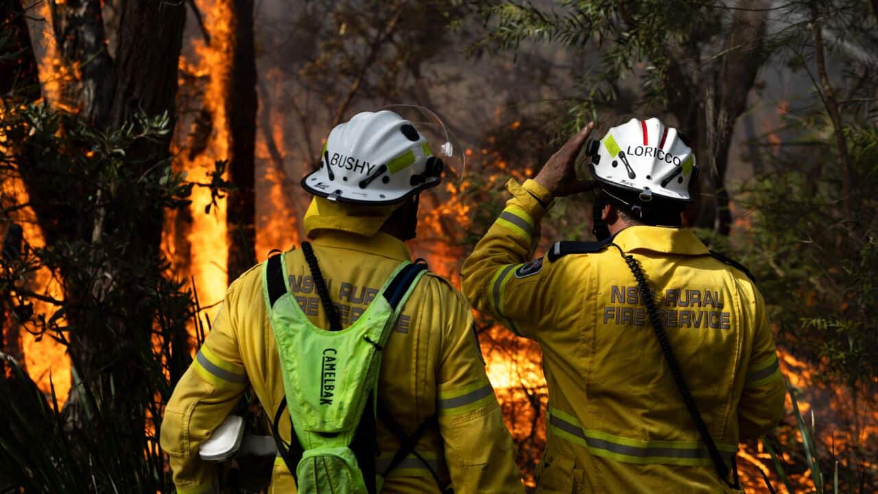 Volunteer firefighters monitoring a hazard reduction burn