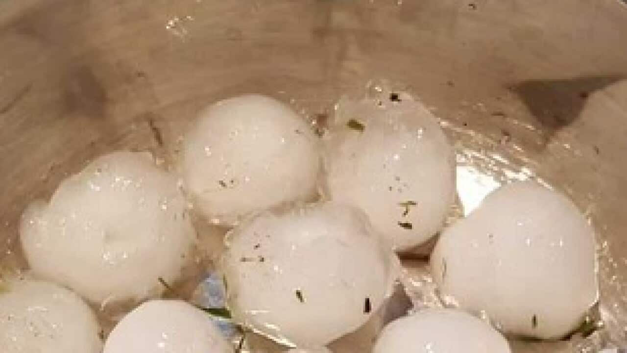 Melbourne hailstorm