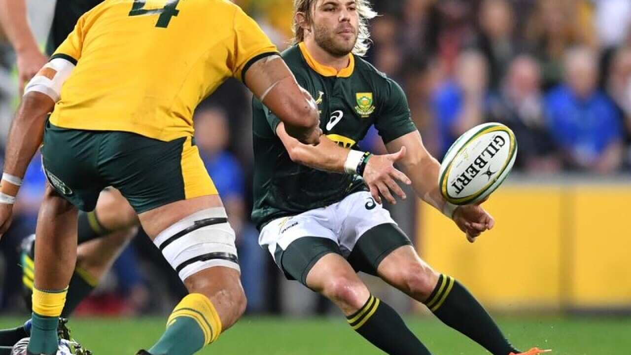 Springboks halfback Faf de Klerk
