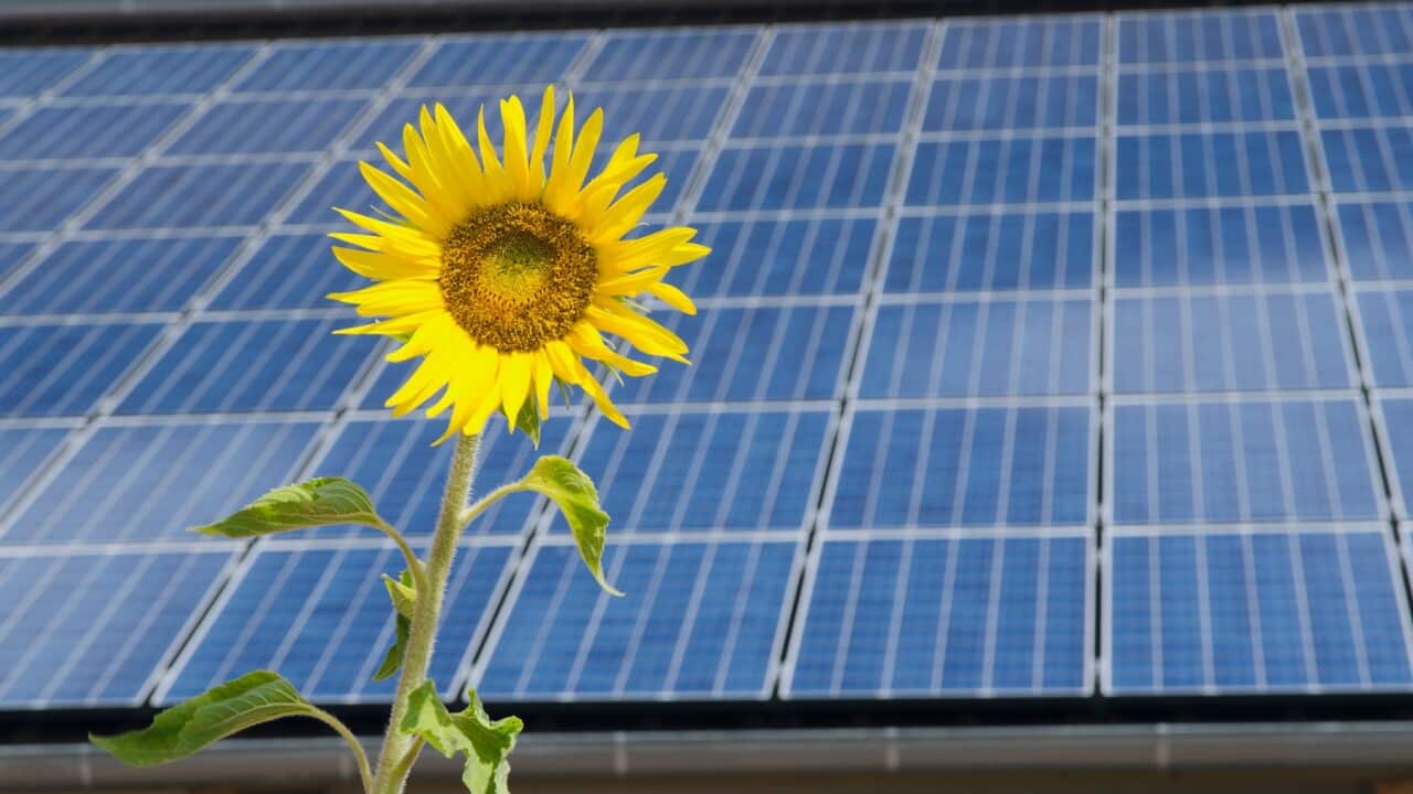 Solar panels