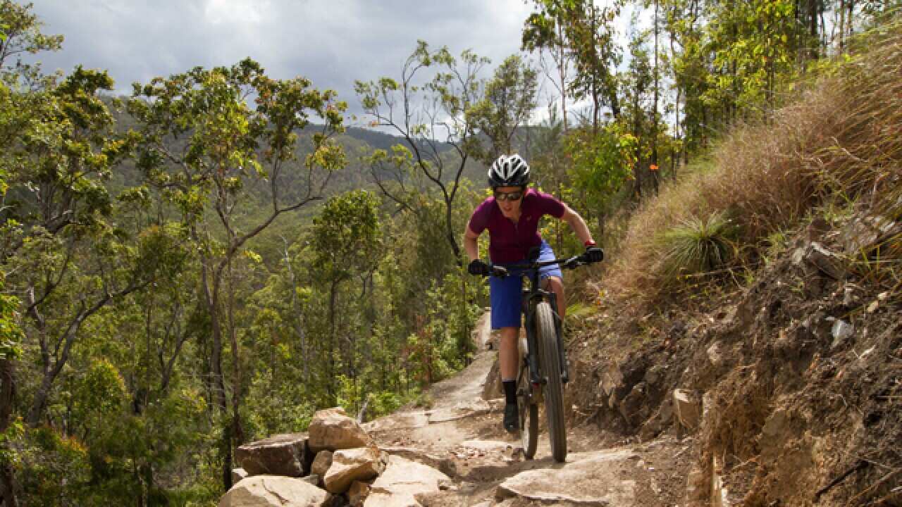 Bicknell-640-Lewis_1791102881