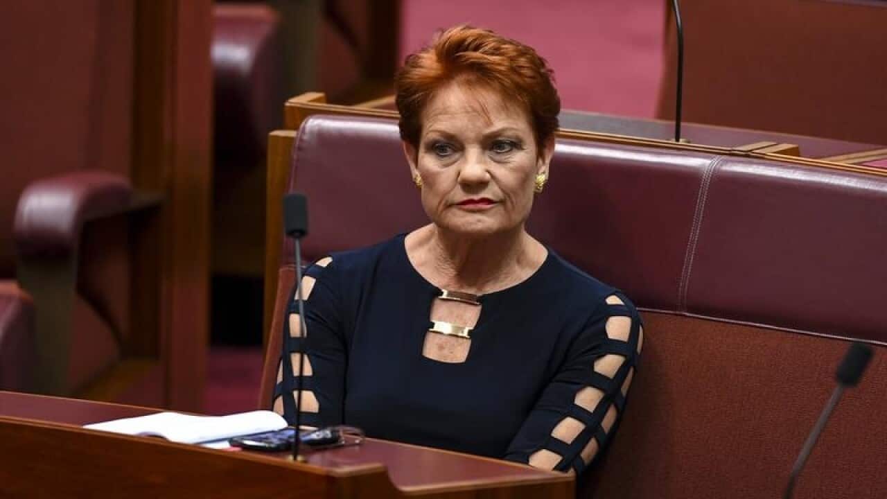 One Nation Leader Pauline Hanson is set to front the media over a guns scandal engulfing her party.