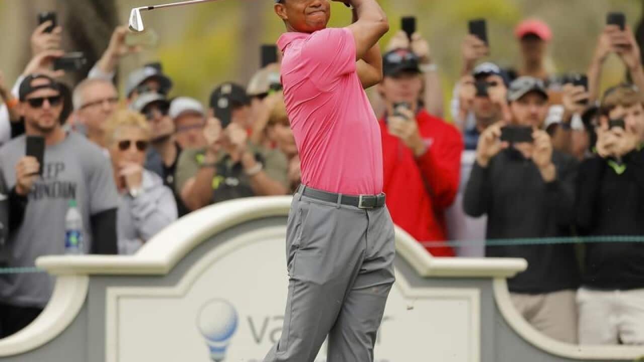 Tiger Woods