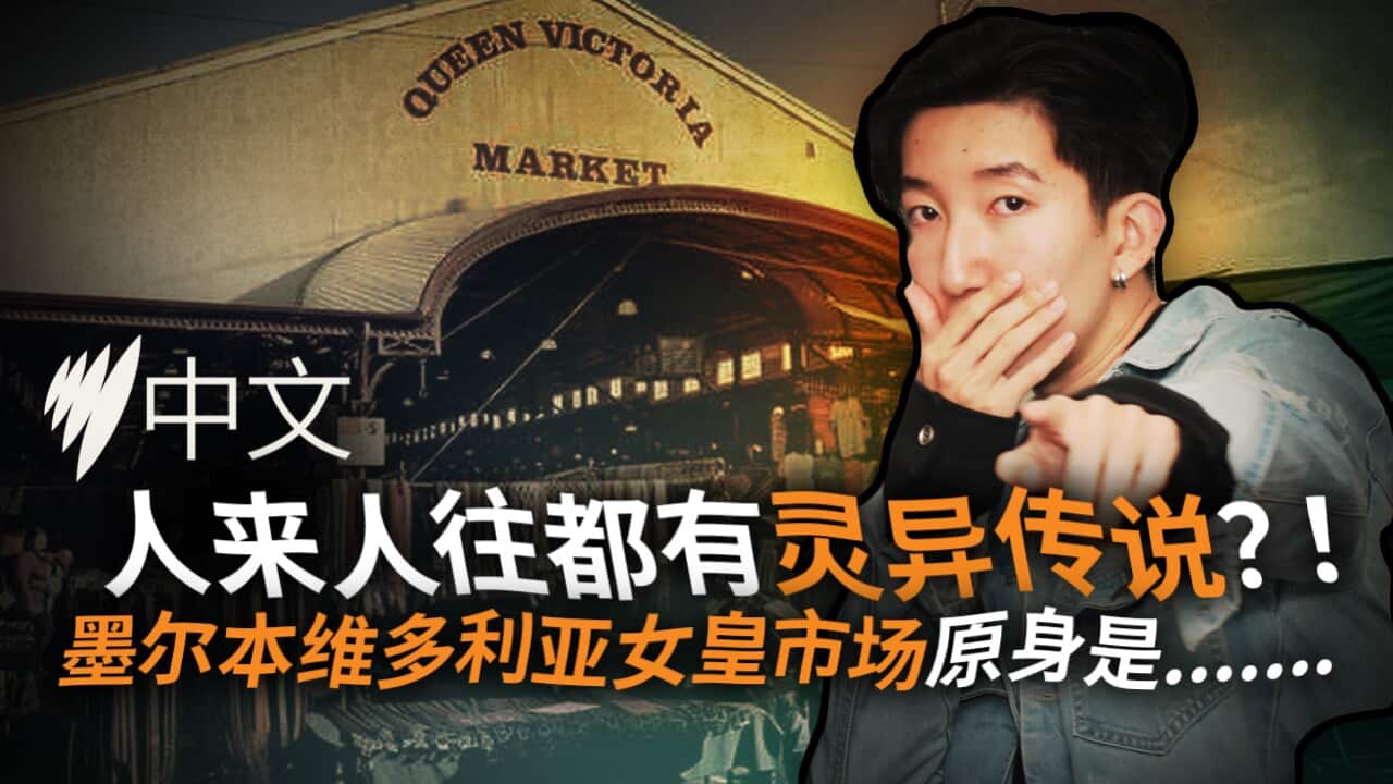 Image for read more article 'READ MORE'