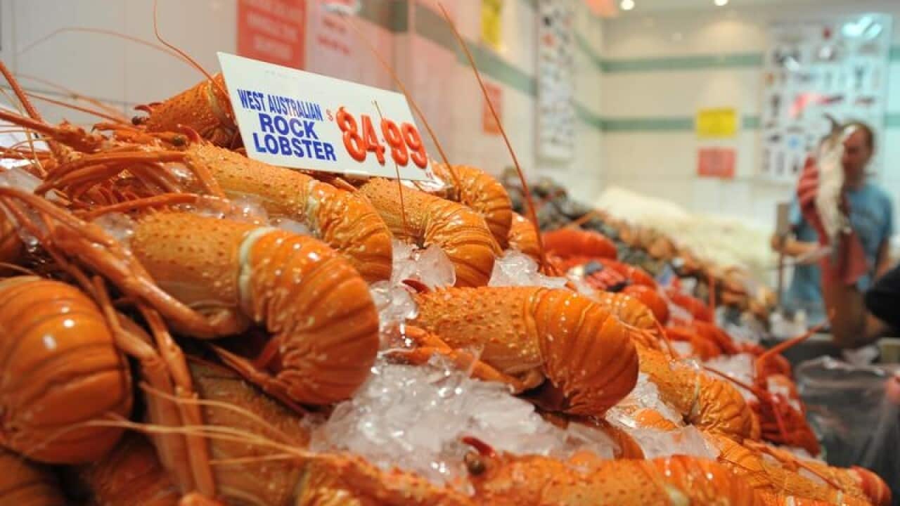 Rock lobster on display at the Sydney Fish Market (file image)