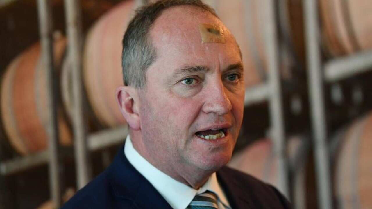 Former federal minister Barnaby Jotce