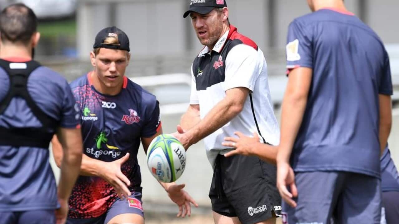 Queensland Reds head coach Brad Thorn