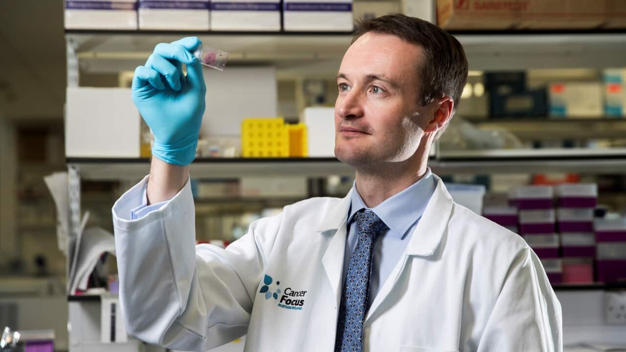 Cancer research programme