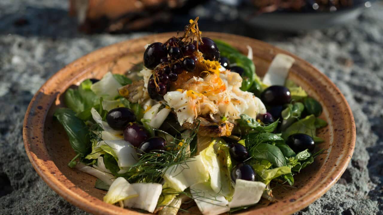 Lobster, fennel and grape salad SBS Food