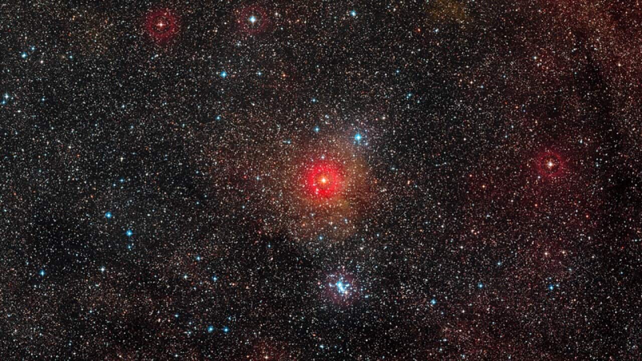 A bright hypergiant star