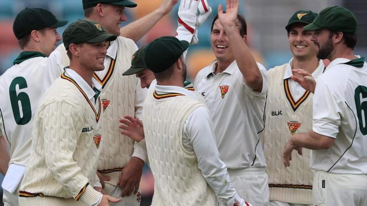 Tasmania celebrate another West Australian wicket
