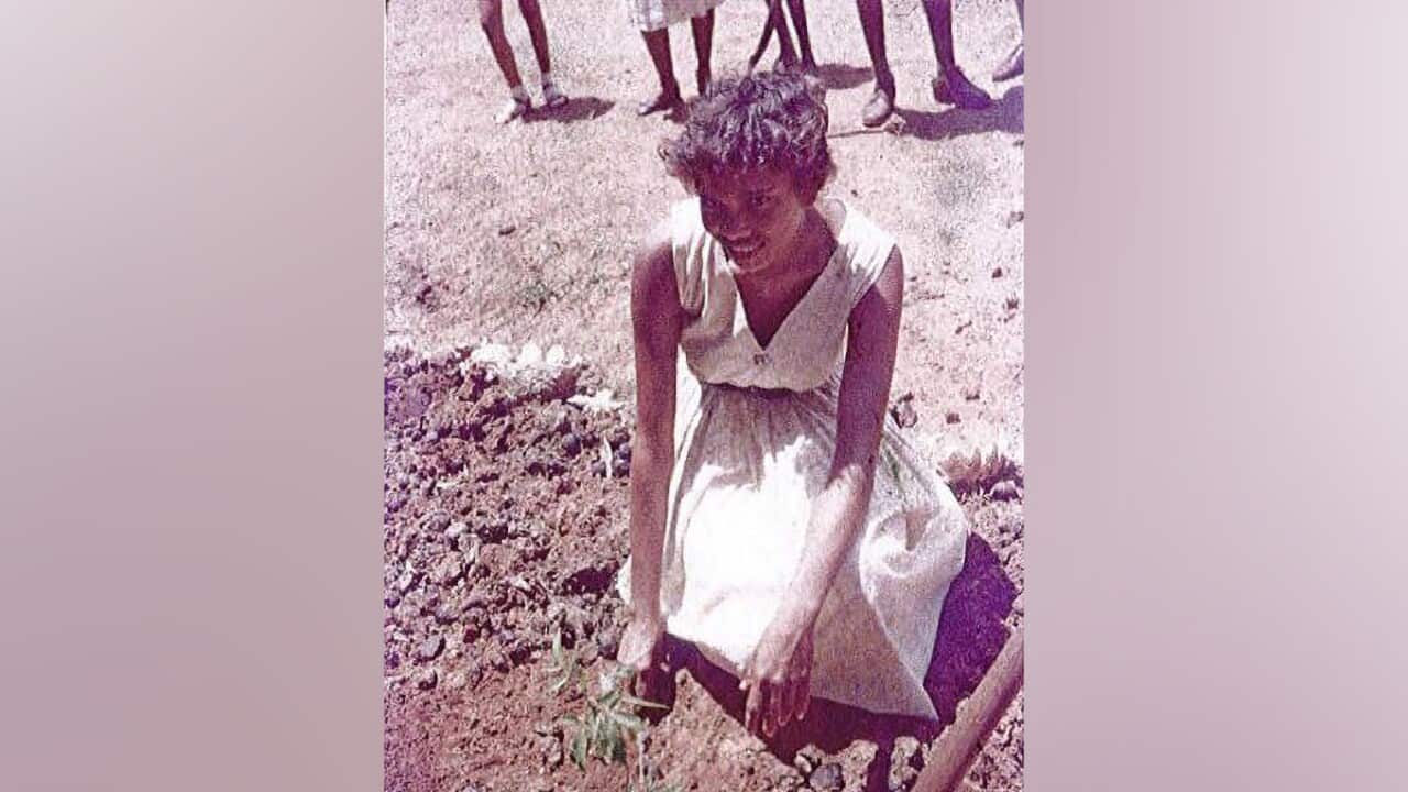 Image for read more article 'READ MORE'