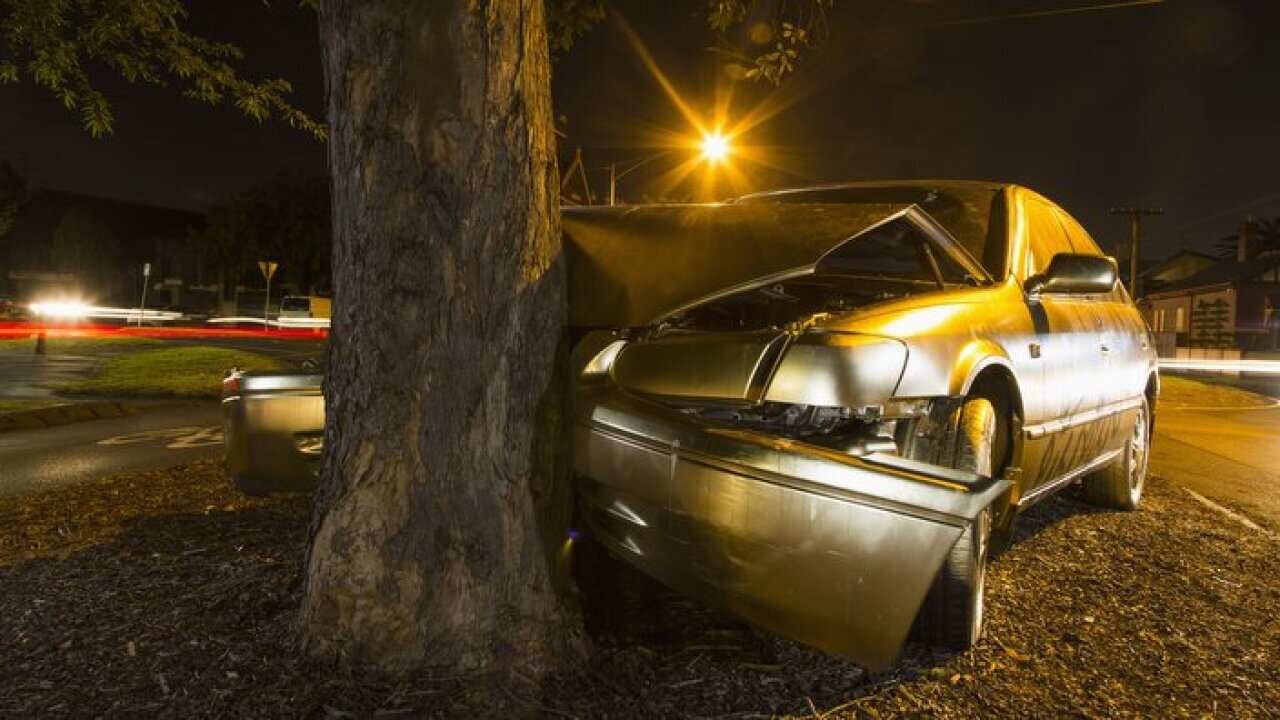 Car crashed on tree trunk during night